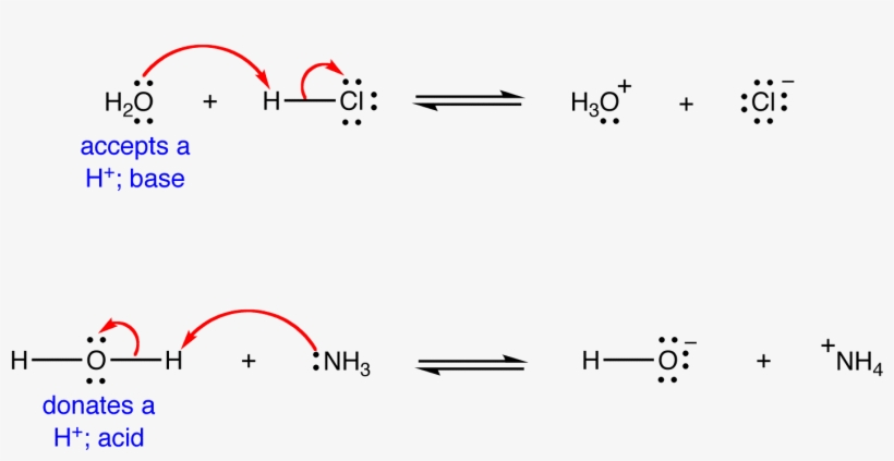 The Water Molecule Could Act As A Base In A Reaction - Water Amphoteric, transparent png download