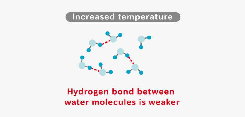 These Absorption Bands Are Influenced By Hydrogen Bonds - Graphic Design, transparent png download