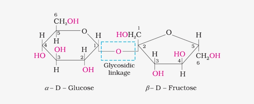 The Two Monosaccharides Are Joined Together By An Oxide - Diagram, transparent png download