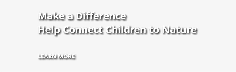 Mount Rainier National Park, transparent png download