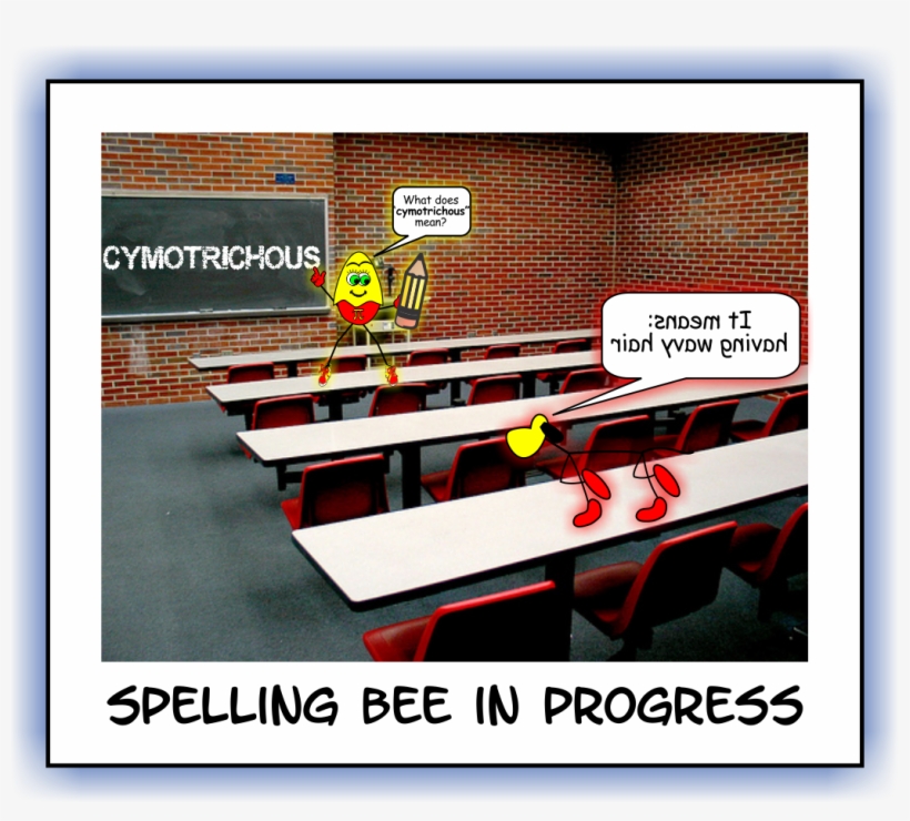 Kidz News Spelling Bee - News, transparent png download