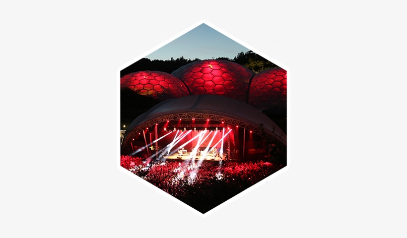 Live Video Streaming To Multiple Social Netowrks And - Social Media, transparent png download