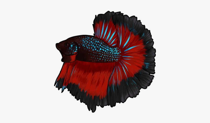 King Of Waters - T-shirt, transparent png download