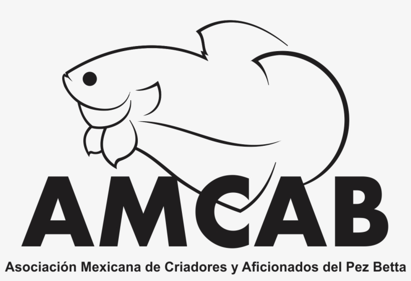National Amcab Ibc Contest Mexico - All Saints College, transparent png download