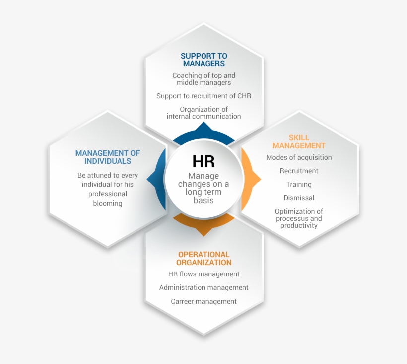 Wennev Human Resources - Gestion Des Ressources Humaines Schéma, transparent png download