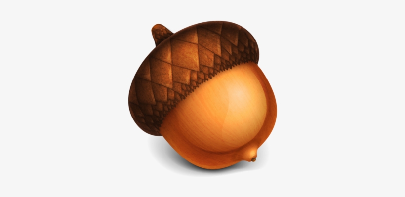 Acorn Clipart Transparent - Acorn Png, transparent png download