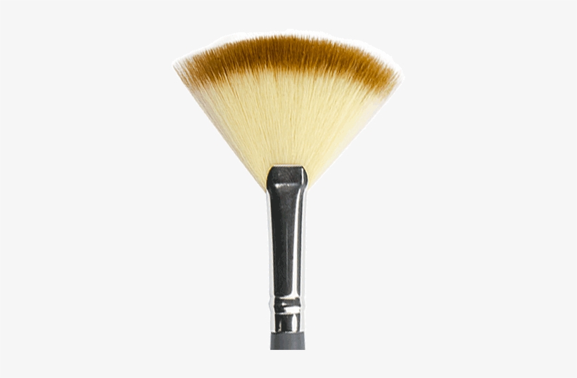 Home / Accessories / Brushes / Fan Brush - Brush, transparent png download