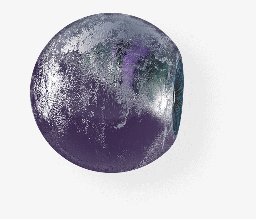 Rainforest Qa Manages Its 60,000 Remote Employees Exclusively - Rainforest Qa, Inc., transparent png download