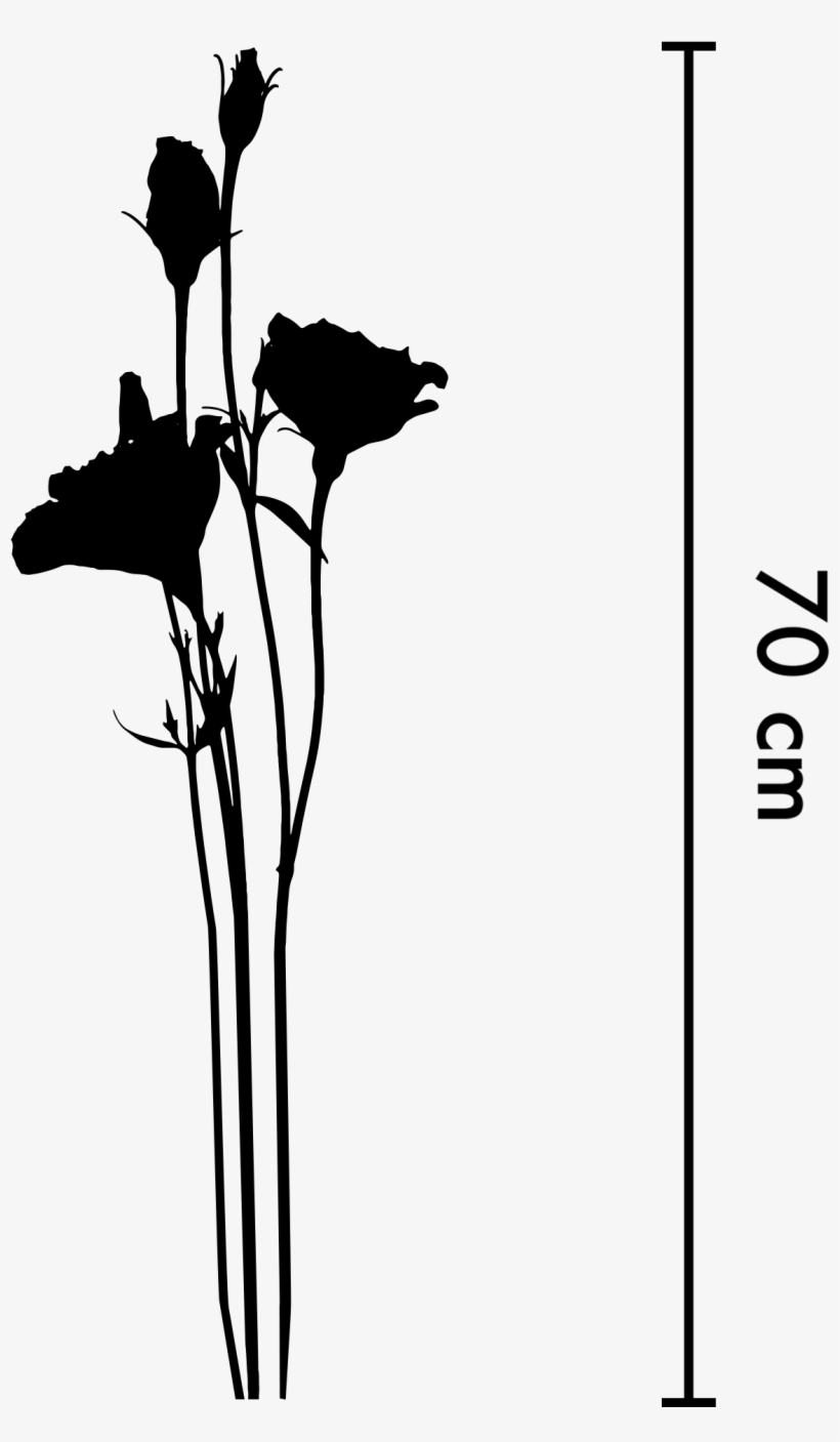 We Only Offer One Pack Regardless Of The Stem Length - Silhouette, transparent png download