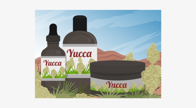 Yucca Scene And Yucca Medicine Extract Of Vector - Euclidean Vector, transparent png download