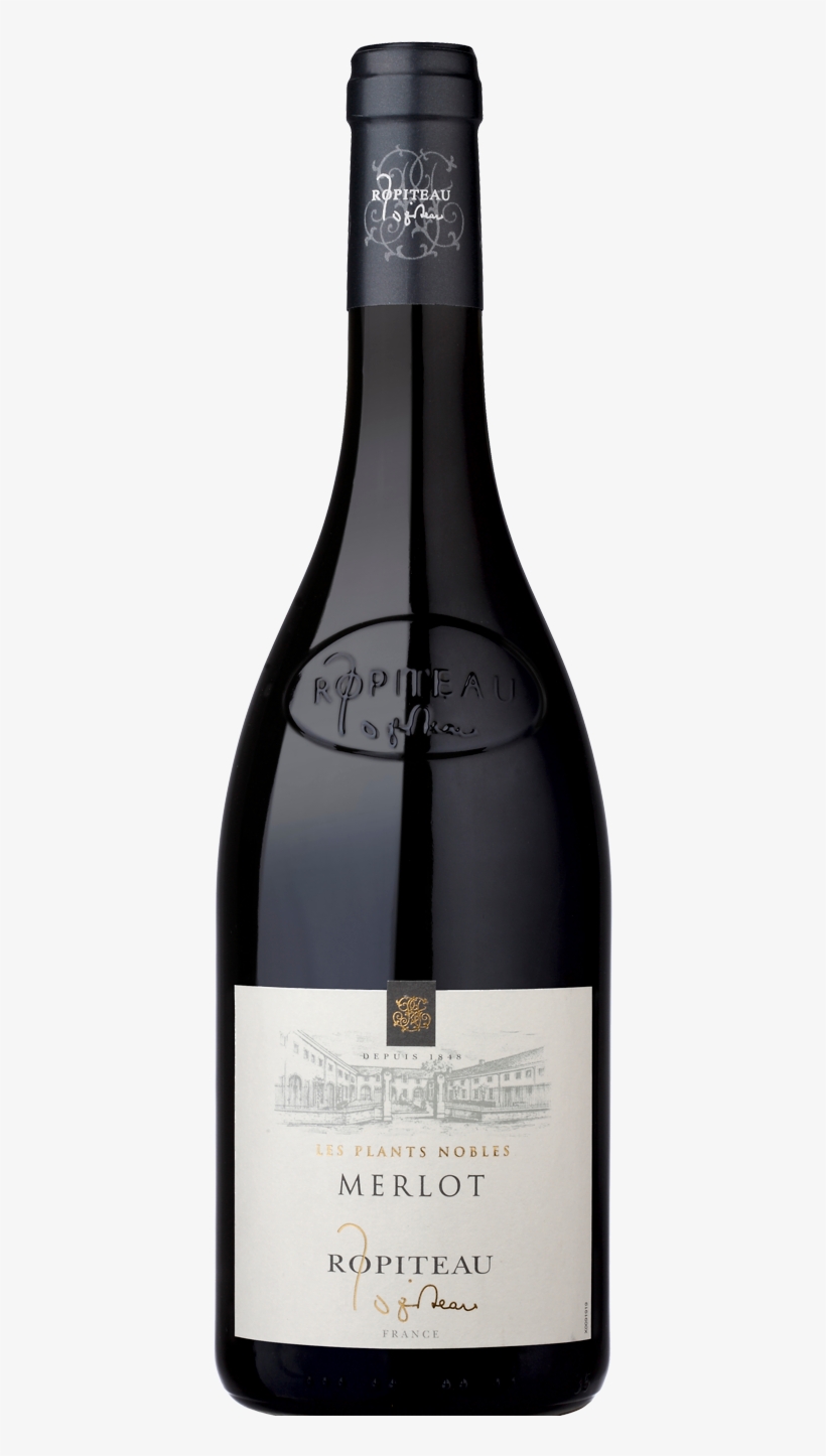 Serving Suggestions - Ropiteau Merlot, transparent png download