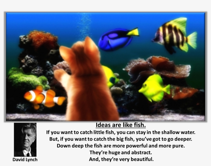 Ideas Are Like Fish - Aquarium, transparent png download