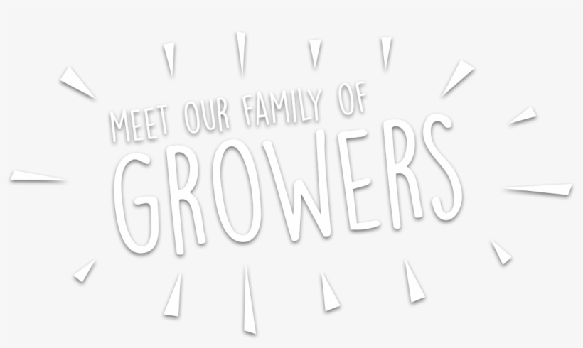 Whether Our Berries Are Home Grown Or Sourced From - Calligraphy, transparent png download