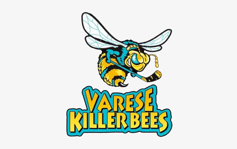 Varese Killer Bees, transparent png download