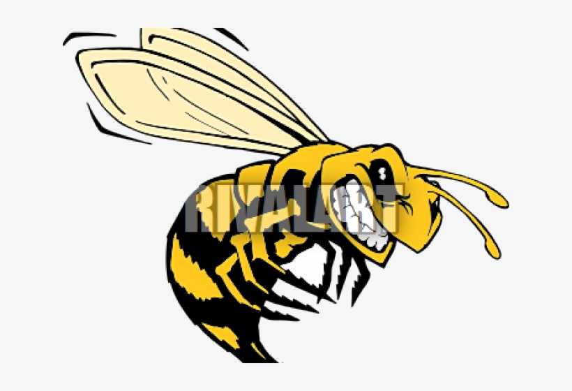 Killer Bee Clip Art Transparent PNG - 640x480 - Free Download on NicePNG