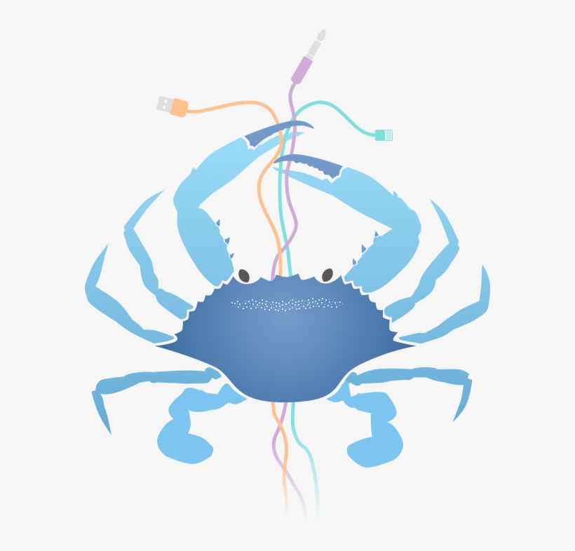 Wirecrab - Embroidery, transparent png download