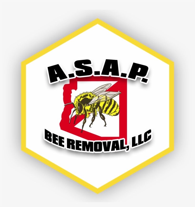 A - S - A - P - Bee Removal, Az - Phoenix Bees In Mulberry Tree, transparent png download