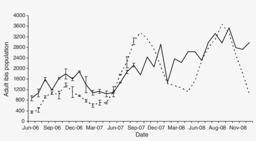 The Number Of Adult Ibis Recorded In The Sydney Region - Diagram, transparent png download