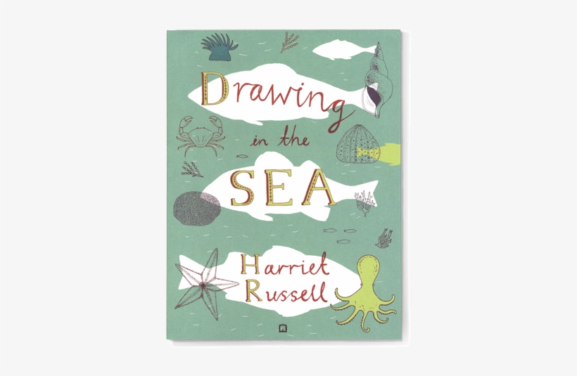 Drawing In The Sea By Harriet Russell, transparent png download