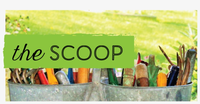 Gjj The Scoop, transparent png download