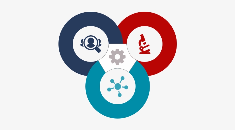 Recruitment Sites - Circle, transparent png download