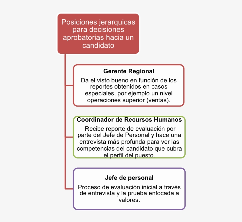 Organigrama Jerarquizado En La Toma De Decisiones - Carmine, transparent png download