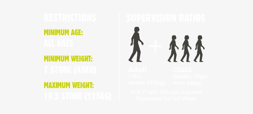 Forest Segway Supervision Ratios Sept - Silhouette, transparent png download