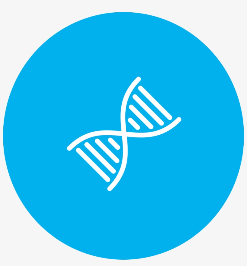 Sparkle Reflective I - Submit Order Icon, transparent png download