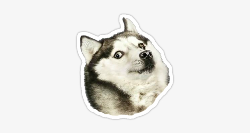 Doge In Husky Breed • Also Buy This Artwork On Stickers, - Flying Dogs, transparent png download