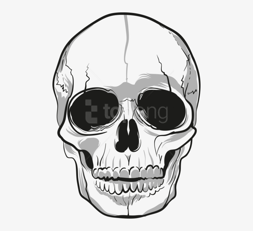 Skull Png, Download Png Image With Transparent Background, - Skull Png, transparent png download