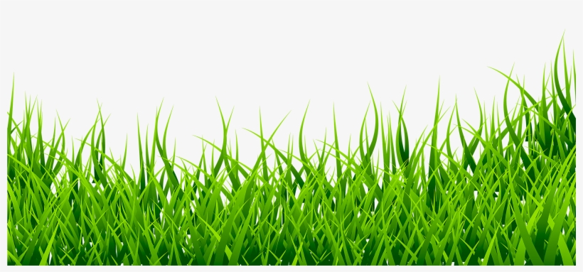 Grass Clipart, transparent png download