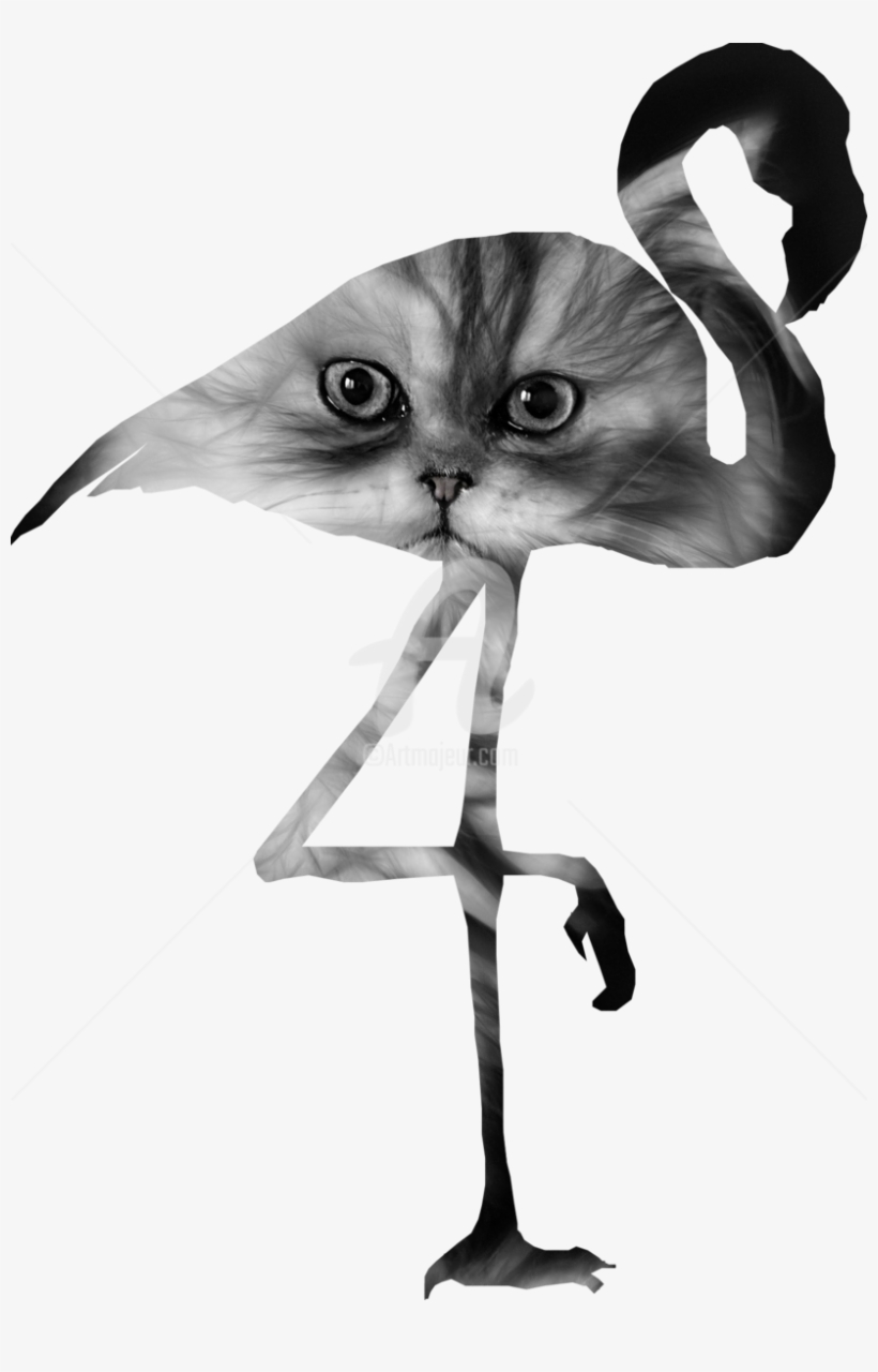 Black And White Flamingo Clipart, transparent png download