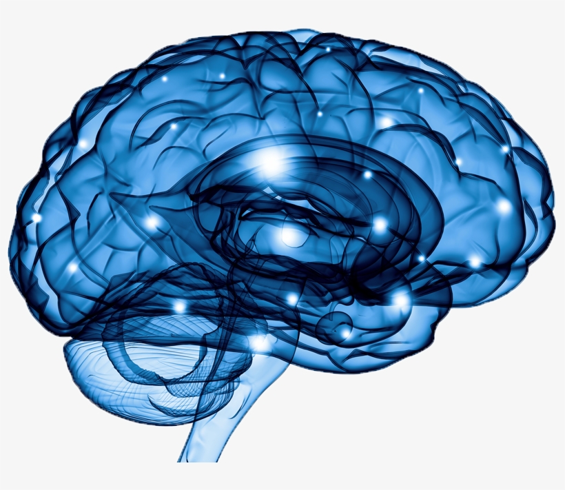 Neuropsychoanalytic Clinical Study Center - Compelling Communicator By Tim Pollard, transparent png download