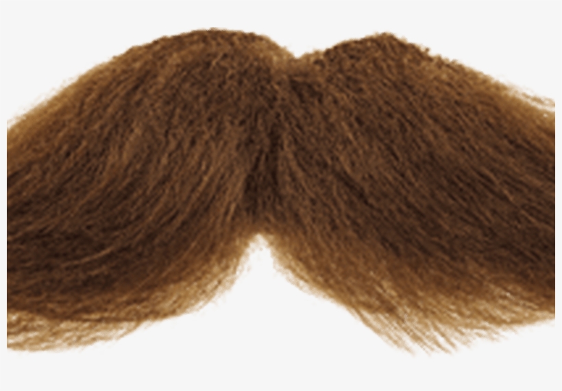 Real Beard Png - Portable Network Graphics, transparent png download