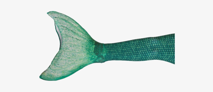 Mermaid Tails Now Available - Mermaid Fins Png, transparent png download