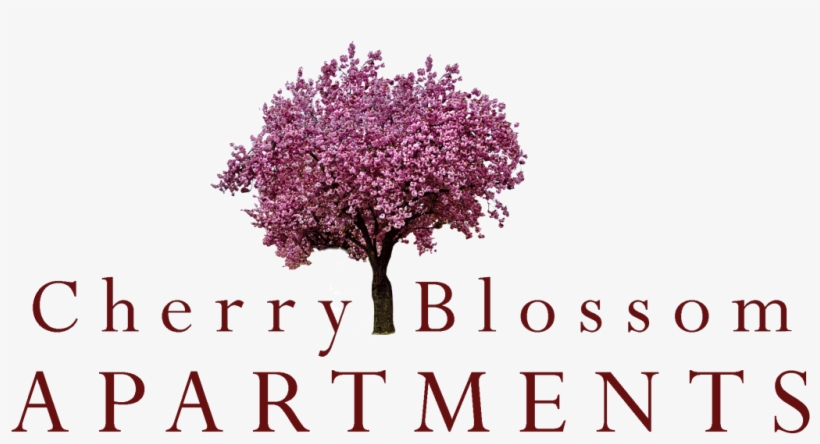 Sunnyvale Property Logo - Cherry Blossom Tree Logo, transparent png download