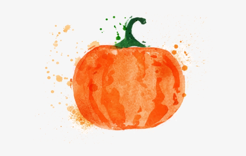 Steamed Greek Pumpkin Ingredients - Aquarell-kürbis Runder Aufkleber, transparent png download