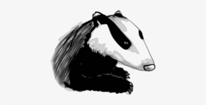 Honey Badger European Badger Drawing Wolverine - Transparent Badger Clipart Black And White, transparent png download