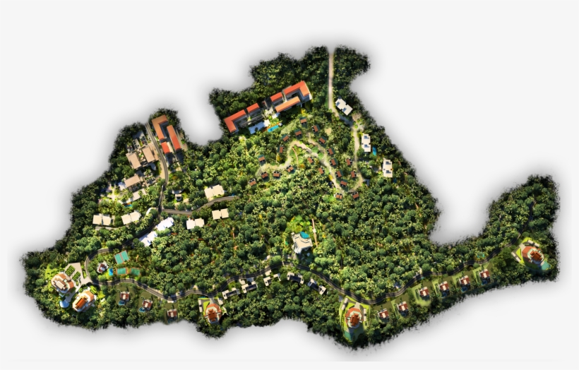 Click To Navigate - Shortleaf Black Spruce, transparent png download