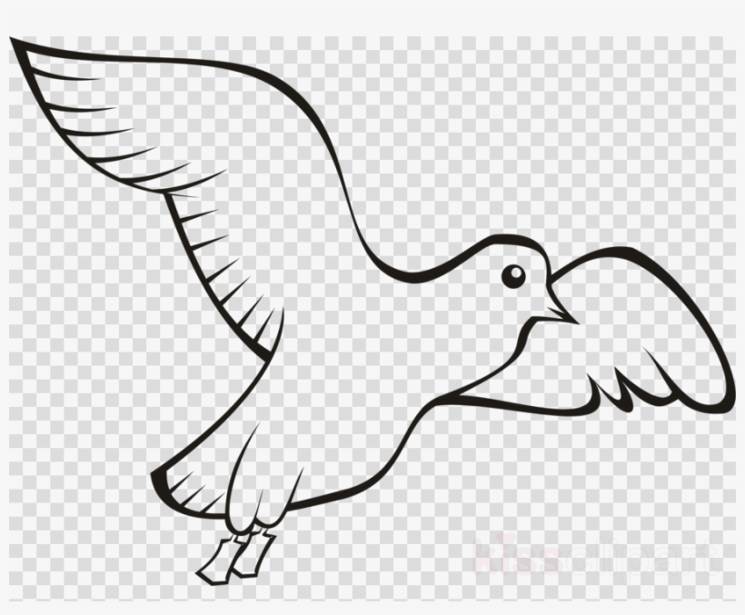 Bird Clipart Homing Pigeon English Carrier Pigeon Pigeons - Penguin Transparent Drawing, transparent png download