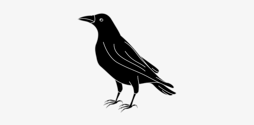 Png Free Stock Index Of - Crow Svg, transparent png download