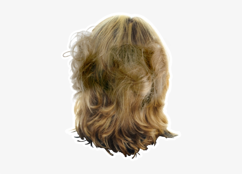 Lace Wig, transparent png download
