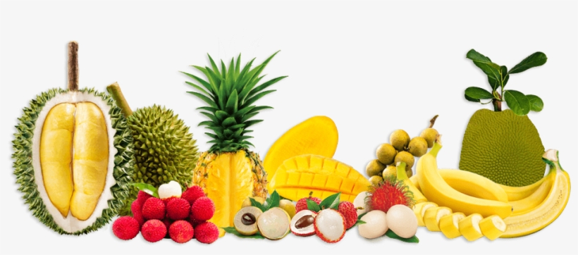 Header - Organic Food, transparent png download