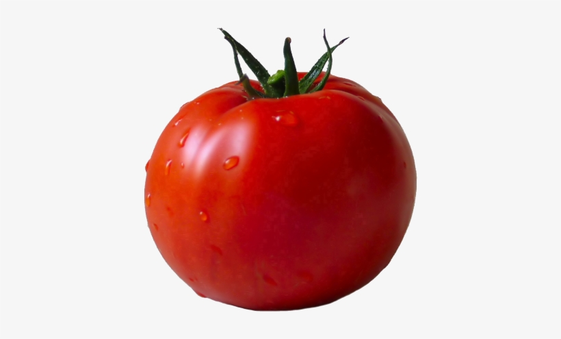 Tomato Png Images - Transparent Background Tomato Clipart, transparent png download