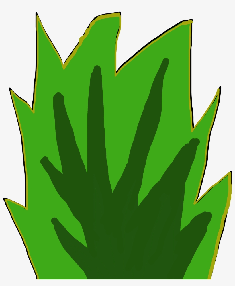 Bush, transparent png download