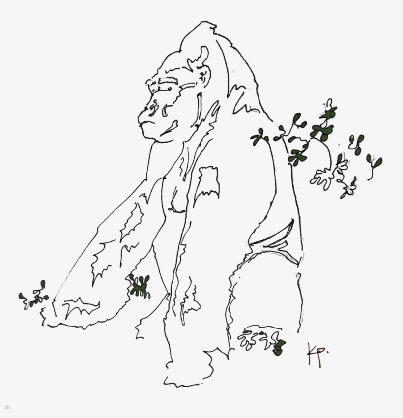Gorilla, transparent png download