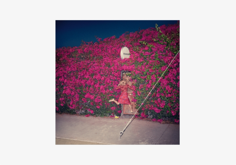 Feistpleasure - Pleasure Feist, transparent png download