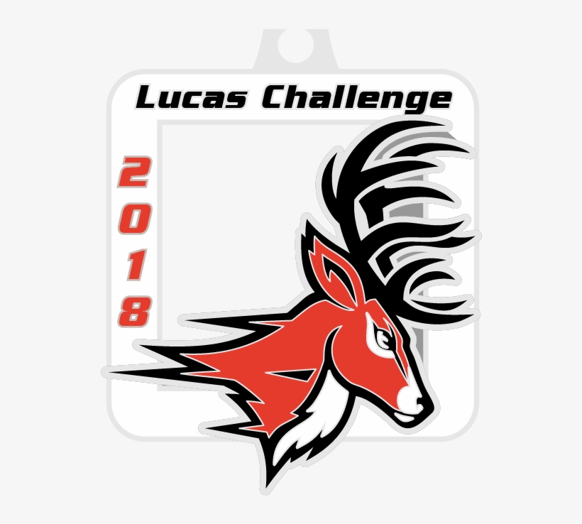 "one Is The Half Marathon Medal And One Is The Lucas - Fairfield Stags Logo, transparent png download