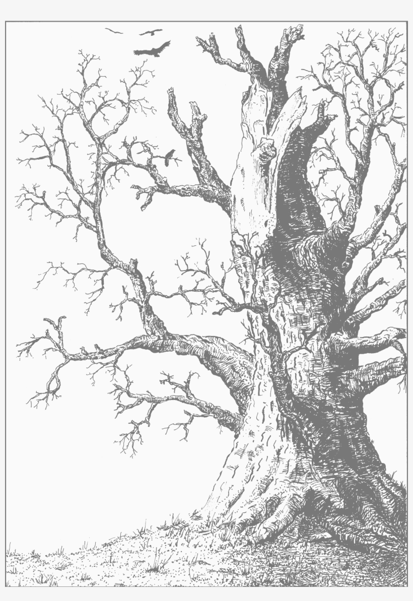 18th February - Drawing, transparent png download