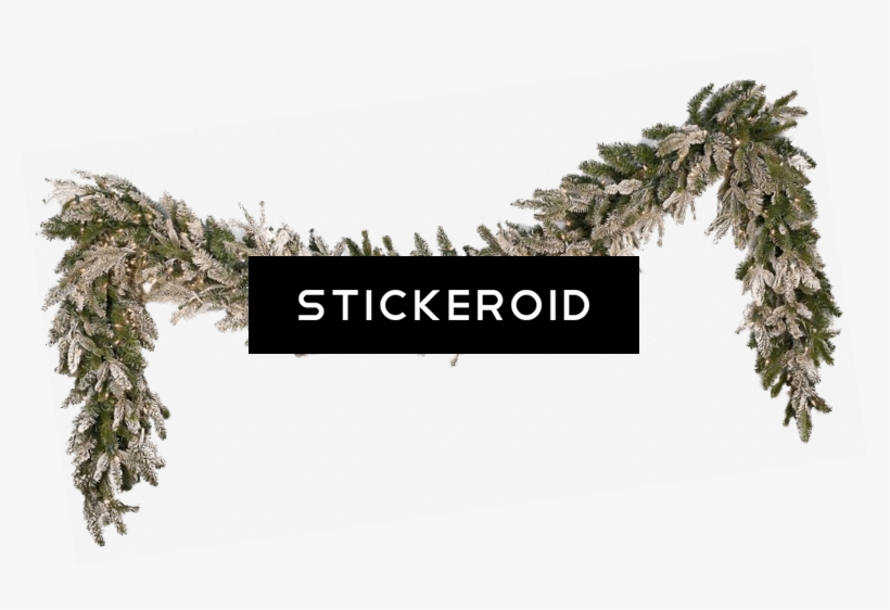 Garland Christmas Snow - Shortleaf Black Spruce, transparent png download